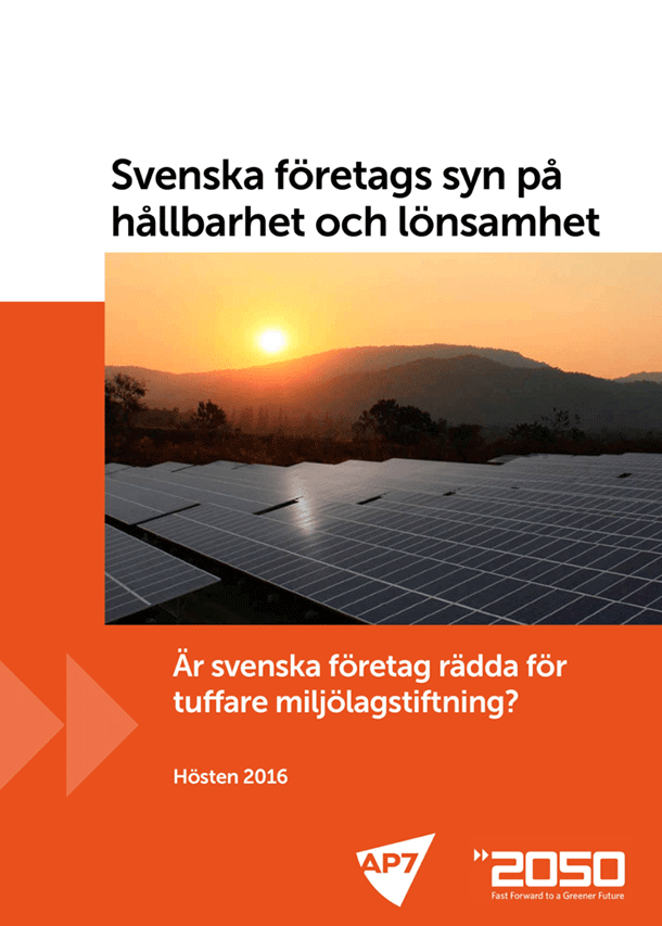 Svenska företags syn på hållbarhet och lönsamhet