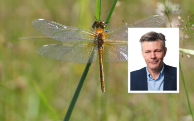 Svårt för företag när länder på COP 16 sviker naturen